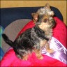 Billy