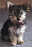 Benjy