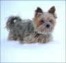 Zabou - 5 Jahre