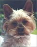 Berry - 14 Jahre