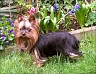 Rany - 11 Jahre