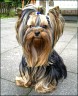 Lea - 2 1/2 Jahre
