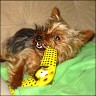 Benny - 2 Jahre
