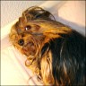 Lisa - 7 Jahre