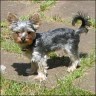Mia - 3 Jahre