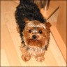 Sunny - 5 Jahre
