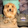 Tiny - 4 Jahre