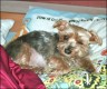 Filou - 10 Jahre