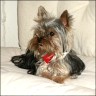 Kr�mel - 12 Monate