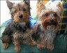 Francy & Jerry