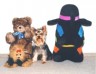 thm_yorkie56.jpg