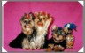 thm_galerie-neu-101.jpg