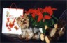 thm_galerie-neu-216.jpg