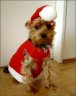 thm_galerie-neu-221.jpg
