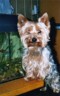 thm_galerie-neu-36.jpg