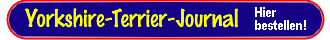 Yorkshire-Terrier-Journal